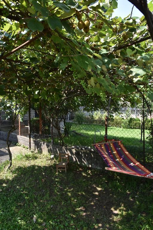 Shorena'S House ズグジジ エクステリア 写真