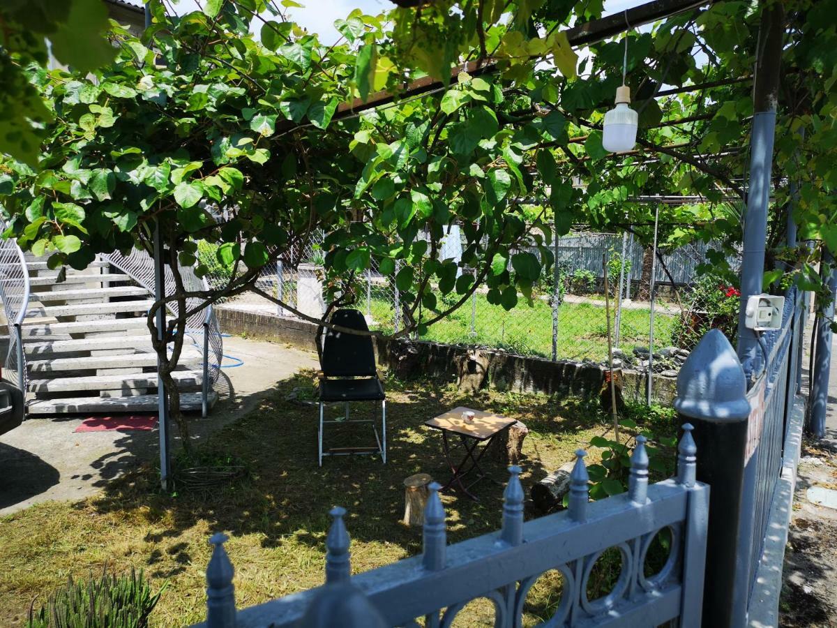 Shorena'S House ズグジジ エクステリア 写真